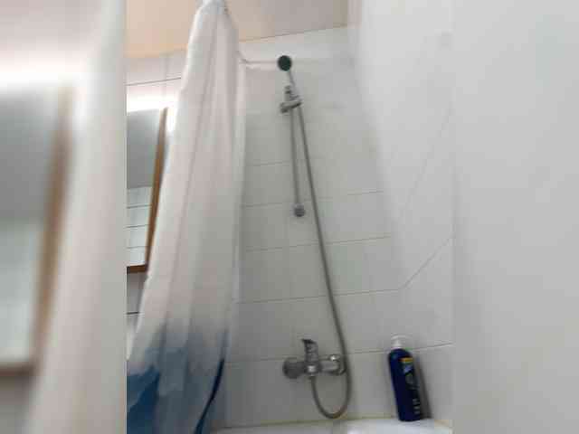 TheLustfulDinosaur1703