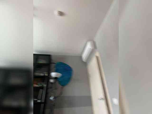 TheLustfulDinosaur1703