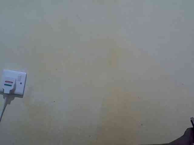 ebony-vannilah webcam