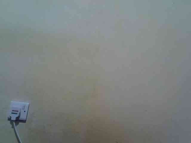 ebony-vannilah webcam