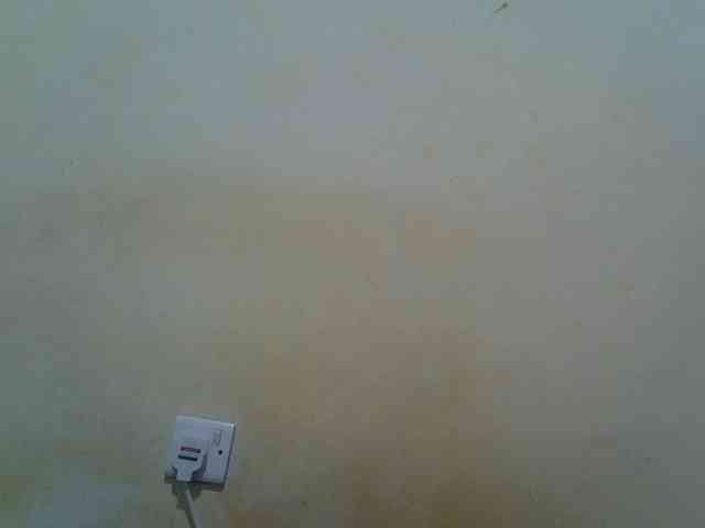 ebony-vannilah webcam