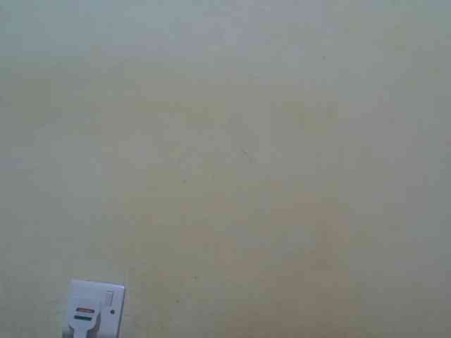 ebony-vannilah webcam