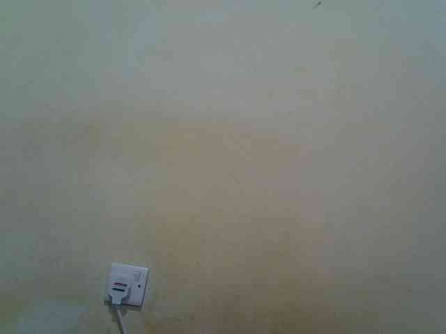 ebony-vannilah webcam