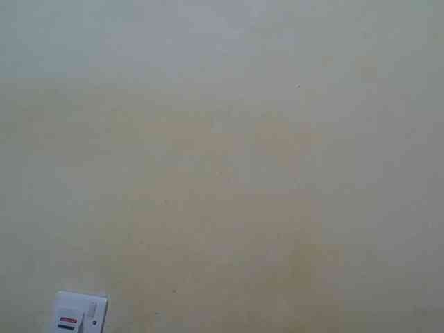 ebony-vannilah webcam