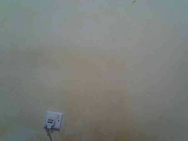 ebony-vannilah webcam