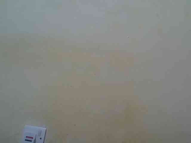 ebony-vannilah webcam