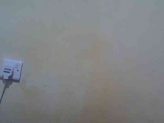 ebony-vannilah webcam