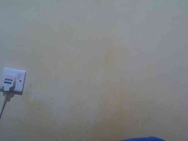 ebony-vannilah webcam