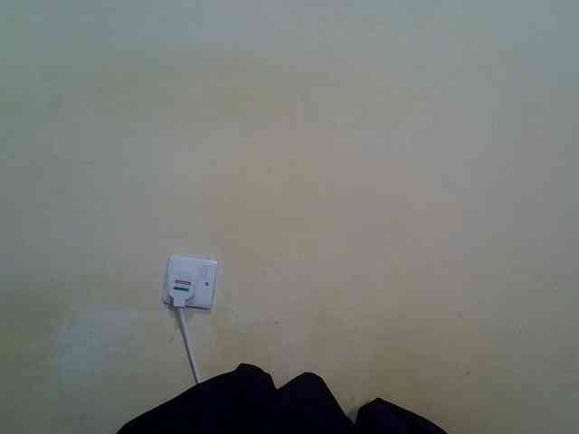 ebony-vannilah webcam