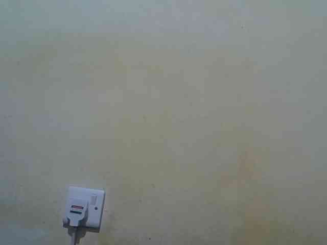 ebony-vannilah webcam