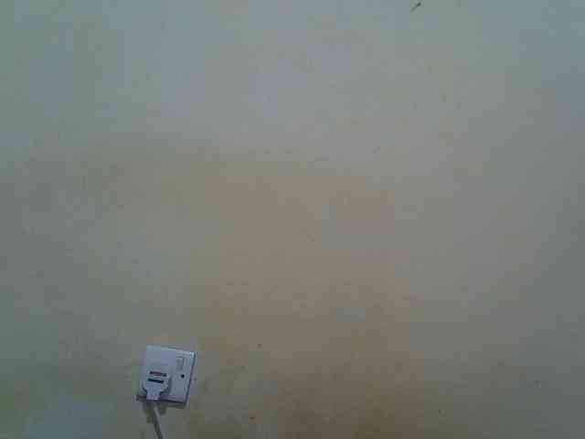 ebony-vannilah webcam