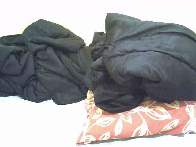 ebony-vannilah Live Webcam on BongaCams