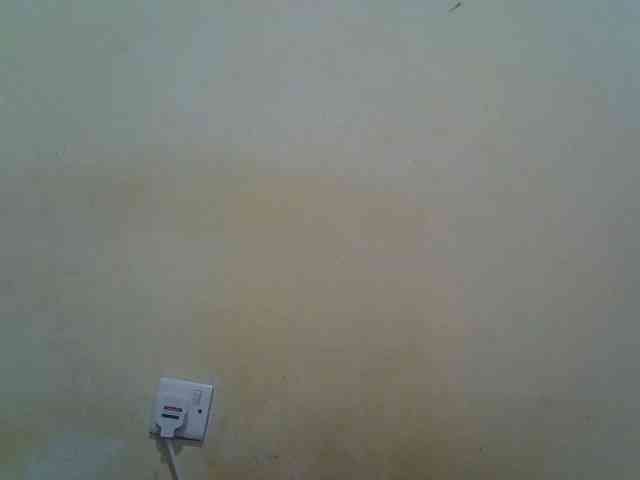 ebony-vannilah webcam