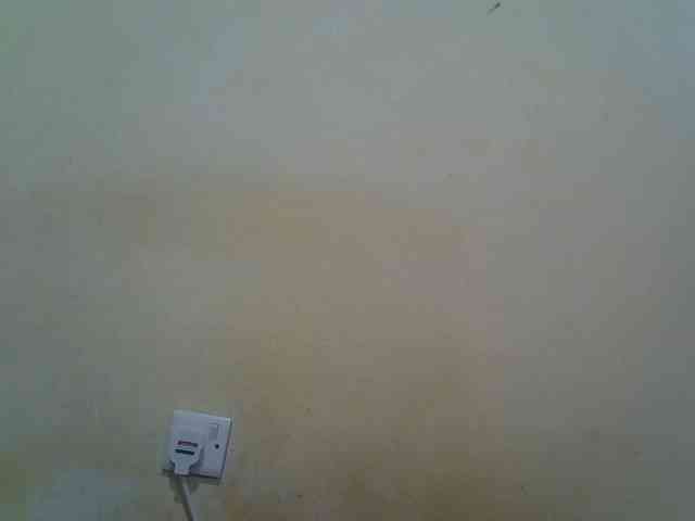 ebony-vannilah webcam