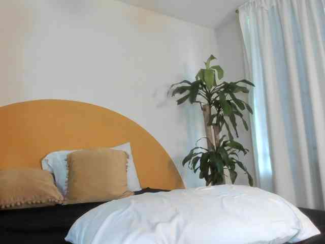 Liaa-Moretti- webcam