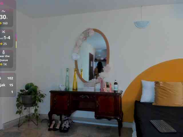 Liaa-Moretti- webcam