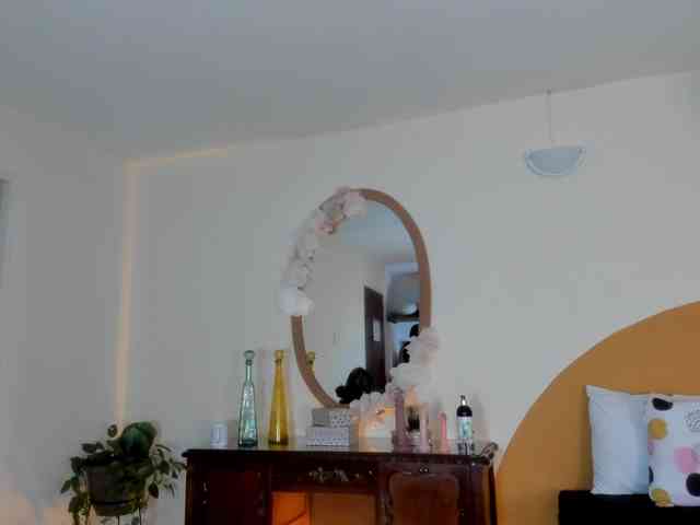 Liaa-Moretti- webcam