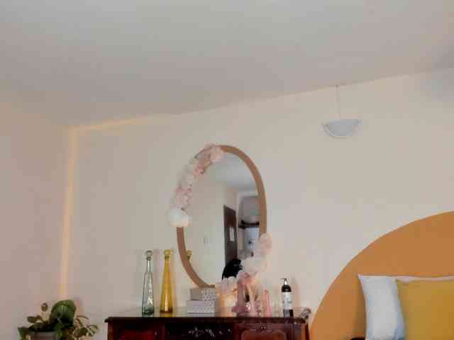 Liaa-Moretti- webcam