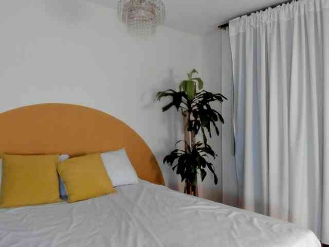 Liaa-Moretti- webcam