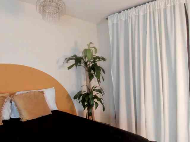 Liaa-Moretti- webcam