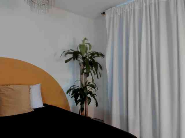 Liaa-Moretti- webcam