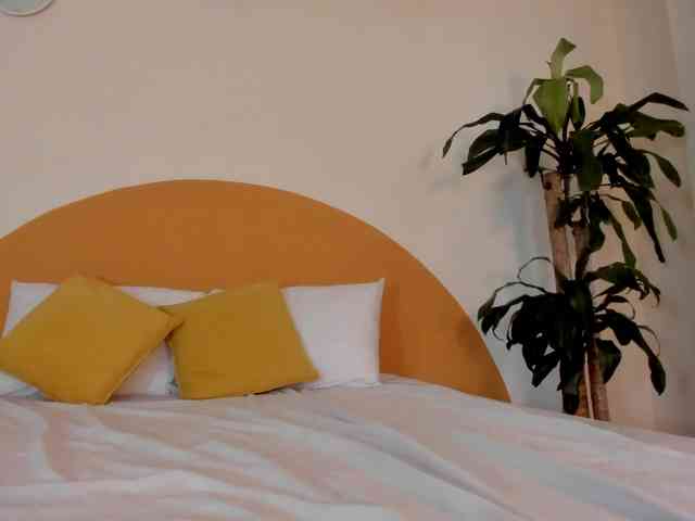 Liaa-Moretti- webcam