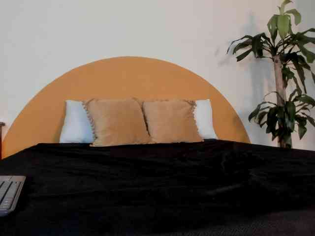 Liaa-Moretti- webcam