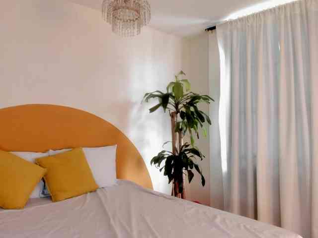 Liaa-Moretti- webcam