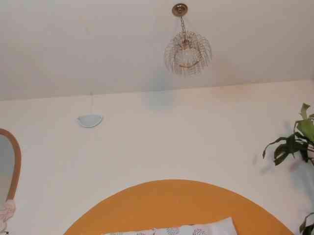 Liaa-Moretti- webcam