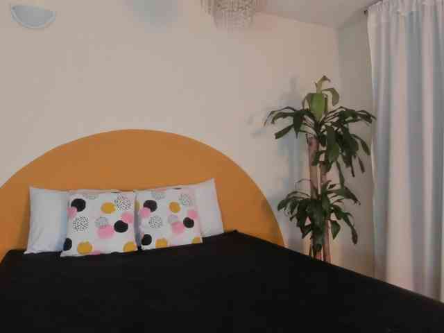 Liaa-Moretti- webcam