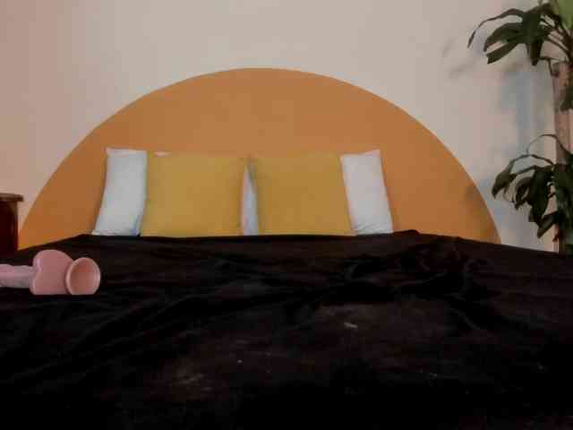 Liaa-Moretti- webcam