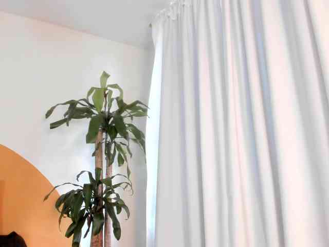 Liaa-Moretti- webcam