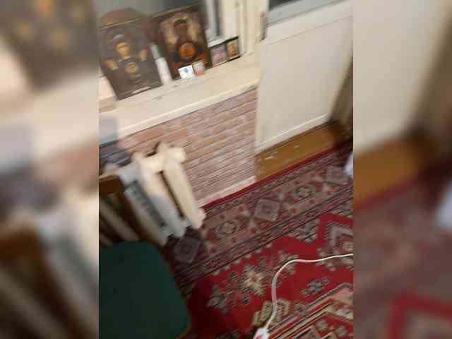 DYRILKAKARTONNAYA webcam