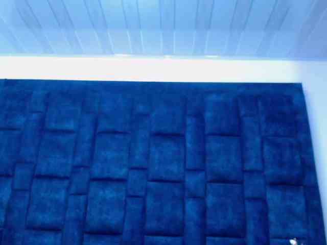 GroupNoLimits webcam