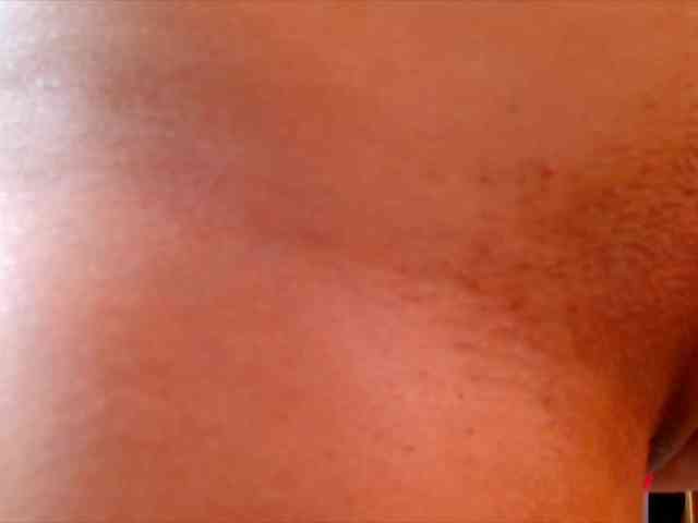 CarolinaPetra CarolinaPetra