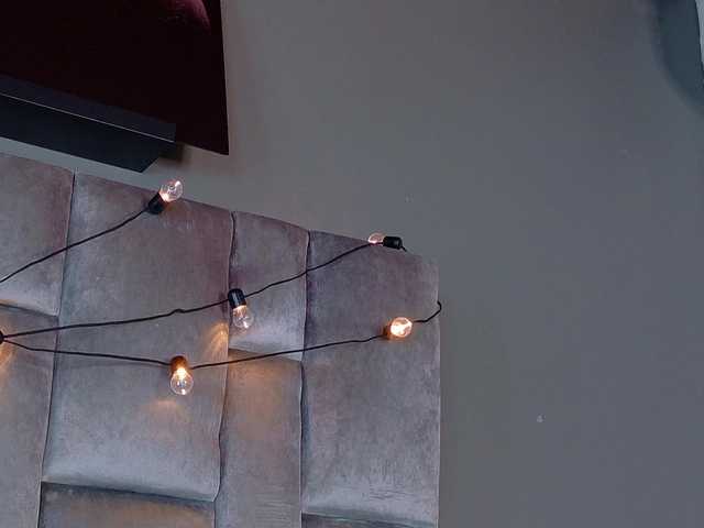 Preview of amypalmmer