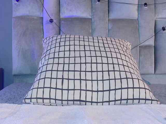 Amypalmmer Amypalmmer