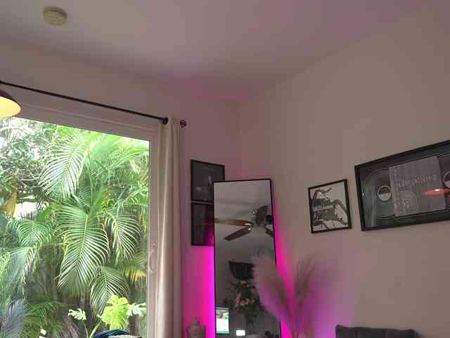 TheAda-Lovelace webcam