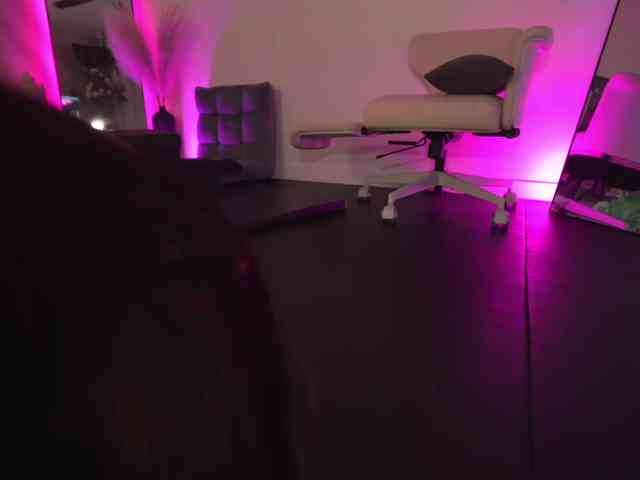 TheAda-Lovelace webcam