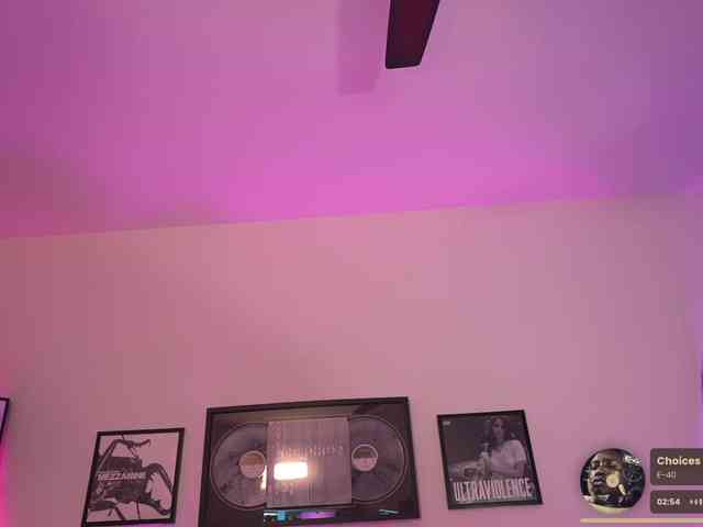 TheAda-Lovelace webcam