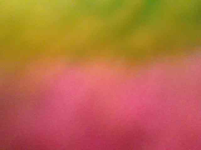 chocolate-love29 webcam