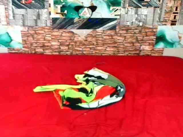 IndianBlaze00 webcam