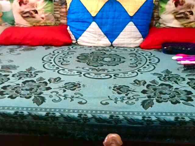 IndianBlaze00 webcam