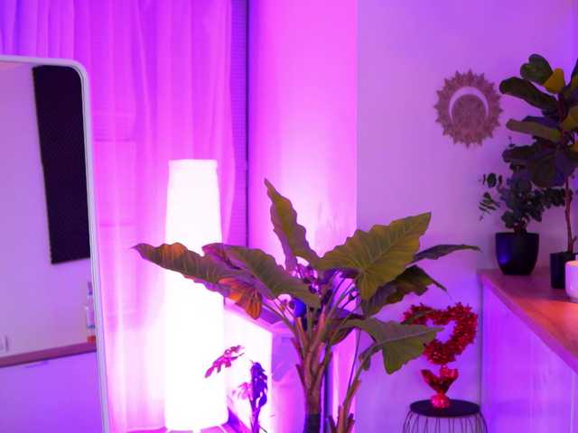 le modèle ArabianRose est en webcam porno dans un show sur le site bongacams, il possède les tags suivants: White/Caucasian,Brunette,Shaved