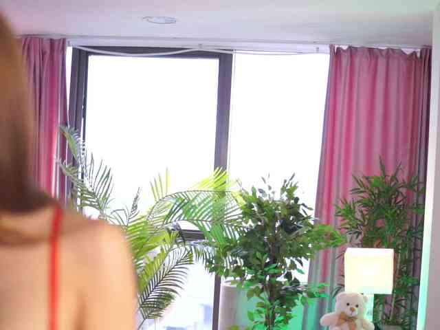 ArabianRose ArabianRose