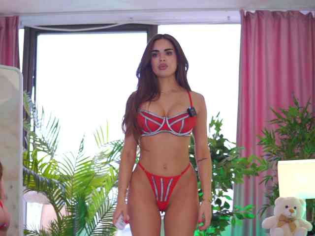 ArabianRose ArabianRose