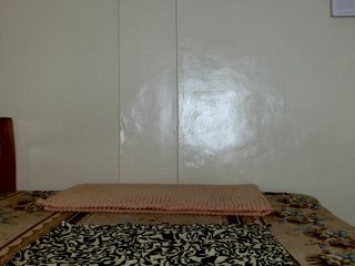 BlushAndMoan Porn Show