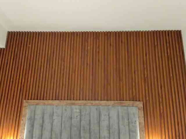 Lakisha-Jackson webcam