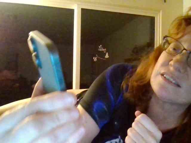 Lena-Ravenswood webcam