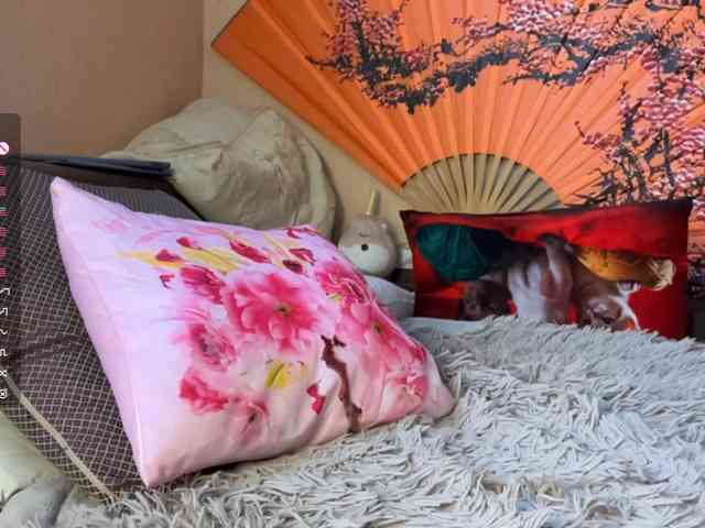 hermina-iloveyou webcam